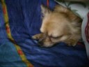 sotto le coperte