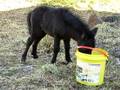 videos de Thora's Scary Bucket Adventure.