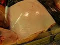 just killed halibut
