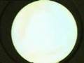 Yellow (Cover of a Coldplay song)