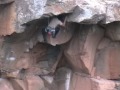 Escalada Tenerife