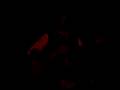 videos de Sam Grow - Open Your Eyes