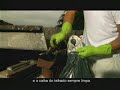 Campanha contra a dengue 4 Campanha contra a dengue 4