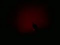 Marilyn Manson Intro/Cruci-Fiction in Space (live)  Poland, Warsaw, Stodoła on 17 November 2009