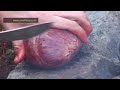 For one year Kristoffer Clausen is going to survive in the Norwegian wilderness equipped only with his sleeping bag, gun and fishing rod. He will survive only on what he will hunt and fish during the whole year.