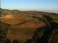 Aerial Napa Valley California Wine Country