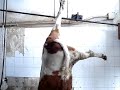 Sacrifico de Vaca Parte 2 - Slaughtery House Sacrifico de Vaca Parte 2 - Slaughtery House