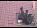 videos de Lisa klettert durch Dach