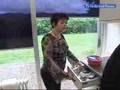 Koken op gevoel