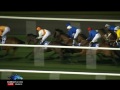 $175,000, Dubal Trophy, MUTAHADEE, Feb. 9