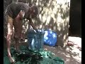 ORGANIC EARTHWORMS