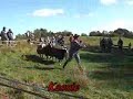 Kassie - Herding Instinct Test, Czech Republic, Oct. 2007