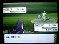 Shiny Roselia with Pok�radar (the third one)