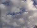 TRex 450XL Heli - 4S - R/C with JustGoFly.com Brushless Moto