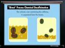 Swiss Water Process