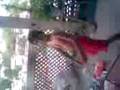 lalito bailando