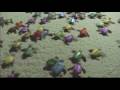 Salvá a las últimas tortugas marinas de la India