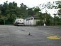 ESky Belt-CP: Cubaan utk hover setpt dan landing dgn sopan