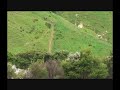 Appaloosa Horses, Riding in the hills