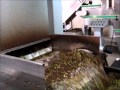 How olive oil is pruduced - Gargaliani Greece