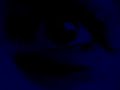 2006. video installation. objects and live camera.
struttura, s.vincenzo italy
music:
hashisheen the endo of law
bill laswell, william s.burroughs, patty smith, lizzy mercier descloux,sussan deyhim, nicky skopelitis.
ashes unisono
eraldo bernocchi, raiz, bill laswell
city of light
bill laswell, coil, lori carson, trilok gurtu, hakim bey, tetsu inoue, christopher james.