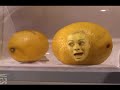 Murder in the Fridge - Vancouver Film School (VFS)