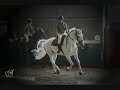 Horses - happy ending