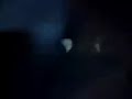 Cucarachas asesinas Cucarachas asesinas