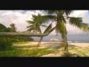 Cousine Island, Seychelles Cousine Island, Seychelles