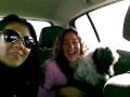 Llegando a lanieve