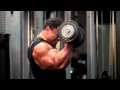 Roelly Winklaar 3º Europeo 2011. www.usafitness.es