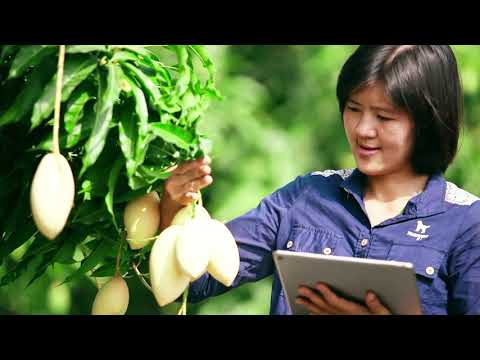 ระบบตามสอบสินค้าเกษตรสำหรับผู้ประกอบการขนาดกลางและขนาดเล็ก