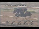 [調教] 081016 マイネルチャールズ 「菊花賞」一週前追い切り