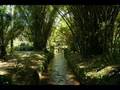 Antonio Carlos Jobim - Bangzalia