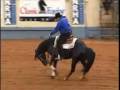 Reining