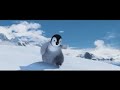 Pinguino happy feet Pinguino happy feet