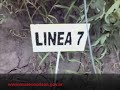fiesta del tomate platense / capitulo 2
