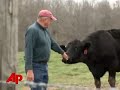 Plum Island: Deadly Diseases on the Move?