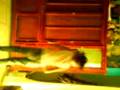 pawershou tres
