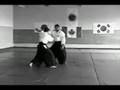 Aikibudo