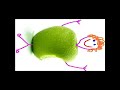 KOM OP APPELS - APPELMAN