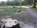 Kolektor u izgradnji 1