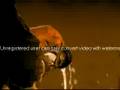 fadi cherry, head & shoulder shampoo ad