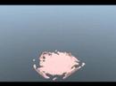 Blender Monkey Fluid