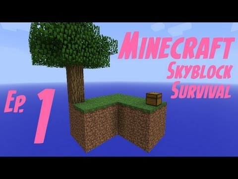Minecraft: Skyblock Survival Ep1- Don't Look Down