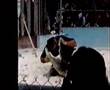 Guarda video