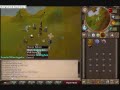 99 hunter brainyboss