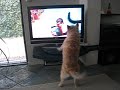 Huppel kijkt tv Huppel kijkt tv