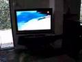 Huppel kijkt tv
