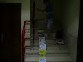 portal con las paginas amarillas